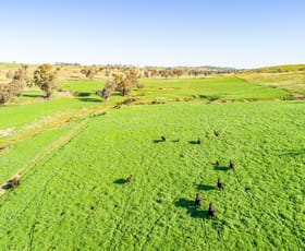 Rural / Farming commercial property sold at 395 Old Yullundry Road Cumnock NSW 2867