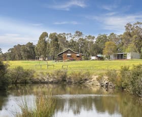 Rural / Farming commercial property sold at 233 Wallis Road Witchcliffe WA 6286