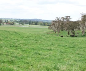 Rural / Farming commercial property sold at 397 Forest Road Spring Hill NSW 2800