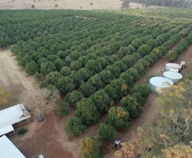 Rural / Farming commercial property sold at 58 Ogilvie Road Cherry Creek QLD 4314