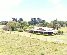 Rural / Farming commercial property sold at Malanda QLD 4885