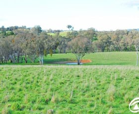Rural / Farming commercial property sold at 105 Edinboro Lane Cargo NSW 2800
