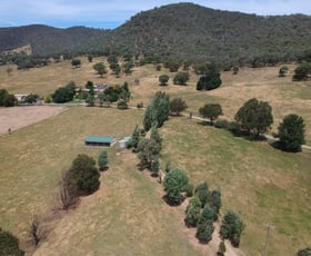 Rural / Farming commercial property sold at 33 RIMMERS LANE Adelong NSW 2729
