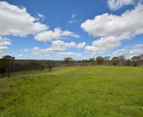 Rural / Farming commercial property sold at 40 Bonnie Rigg Drive Dalveen QLD 4374