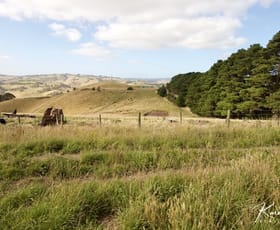 Rural / Farming commercial property sold at 65 Mcnaughtons Road Arawata VIC 3951