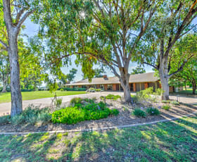 Rural / Farming commercial property sold at Balmoral Park 5072 Werris Creek Road Tamworth NSW 2340