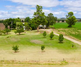 Rural / Farming commercial property sold at 391 Spains Lane Quirindi NSW 2343