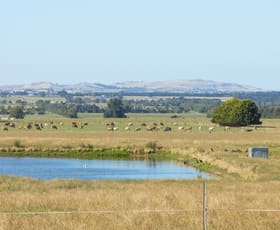 Rural / Farming commercial property sold at 80 McNabbs Road Irrewillipe East VIC 3249