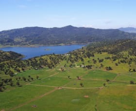 Rural / Farming commercial property sold at 185 Alma Road Gundy NSW 2337