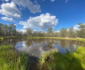 Rural / Farming commercial property sold at Lot 45 Chinchilla Tara Road Wieambilla QLD 4413