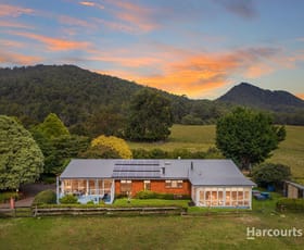 Rural / Farming commercial property for sale at 860 Ironcliffe Road Penguin TAS 7316