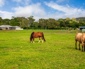 Rural / Farming commercial property sold at 1376 Bolong Road Coolangatta NSW 2535