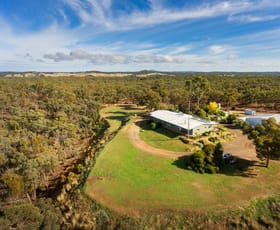 Rural / Farming commercial property sold at 282 Blanket Gully Road Campbells Creek VIC 3451