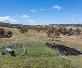 Rural / Farming commercial property sold at 479 Whans Road Llangothlin NSW 2365