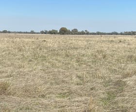 Rural / Farming commercial property sold at Lot 2 & 3 Lawrence Road Deniliquin NSW 2710