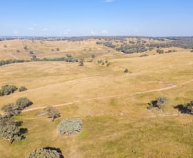 Rural / Farming commercial property for sale at 347 Sheridan Park Road Boorowa NSW 2586