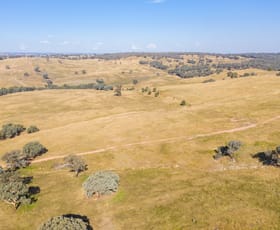Rural / Farming commercial property sold at 347 Sheridan Park Road Boorowa NSW 2586