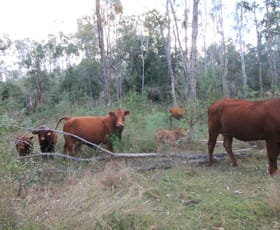 Rural / Farming commercial property sold at 249 Stronachs Road Wallaville QLD 4671