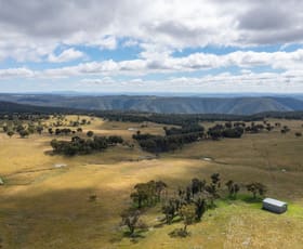 Rural / Farming commercial property sold at 131 Brennan Road Enmore NSW 2350