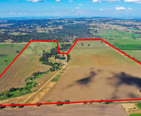 Rural / Farming commercial property sold at 112 Thirteen Mile Reserve Road Maxwell NSW 2650