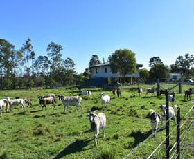 Rural / Farming commercial property sold at 53 Keenes Rd Bauple QLD 4650