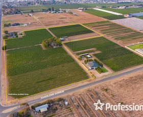 Rural / Farming commercial property sold at 2738 Eleventh Street Nichols Point VIC 3501