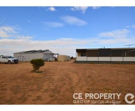 Rural / Farming commercial property sold at 209 Halfway House Road Annadale SA 5356