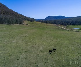 Rural / Farming commercial property sold at Congewai NSW 2325