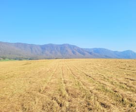Rural / Farming commercial property sold at 1 Catholic Cemetery Road Araluen NSW 2622