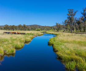 Rural / Farming commercial property sold at 2/161 Nine Mile Road Dundee NSW 2370