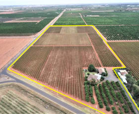 Rural / Farming commercial property sold at Farm 211 Research Station Road Hanwood NSW 2680
