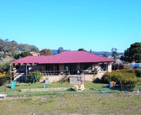 Rural / Farming commercial property sold at 611 Tombong Road Tombong NSW 2633