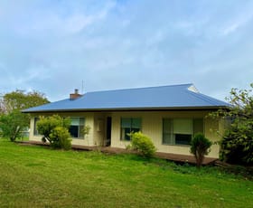 Rural / Farming commercial property sold at 499 Eastern Creek Road Waarre VIC 3269