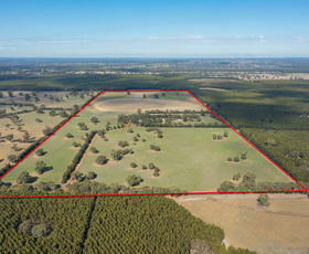 Rural / Farming commercial property sold at 145 Perns Lane Englefield VIC 3407