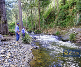 Rural / Farming commercial property sold at Gloucester NSW 2422