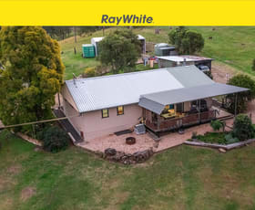 Rural / Farming commercial property sold at 166 Farm Road, Bonalbo via Casino NSW 2470