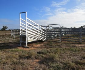 Rural / Farming commercial property sold at 131 Birganbigil Road Deniliquin NSW 2710
