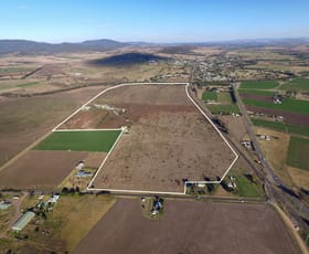 Rural / Farming commercial property sold at 50 Segenhoe Road Aberdeen NSW 2336