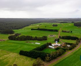 Rural / Farming commercial property sold at 491 Crescent Road Simpson VIC 3266