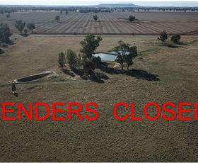 Rural / Farming commercial property sold at LOT 1 NAPIER ROAD Lockhart NSW 2656