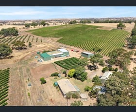 Rural / Farming commercial property sold at 82 Koop Creek Road (Springton Hills Wines) Springton SA 5235