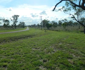 Rural / Farming commercial property for sale at 137 Cemetery Road Nebo QLD 4742