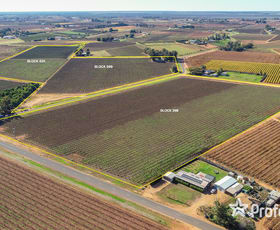 Rural / Farming commercial property for sale at 5 Bate Lane & Lots 398 And 399 Coorong Avenue Red Cliffs VIC 3496