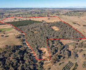 Rural / Farming commercial property sold at 28 Sapphire Road Biala NSW 2581