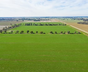 Rural / Farming commercial property sold at Stud Park Road Deniliquin NSW 2710