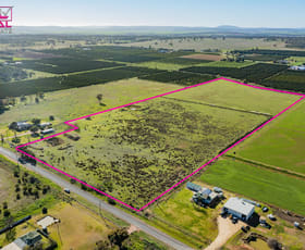 Rural / Farming commercial property sold at 125 Canal Road Leeton NSW 2705
