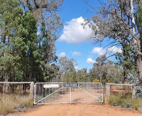 Rural / Farming commercial property sold at 605 Bairstows Lane Gilgandra NSW 2827