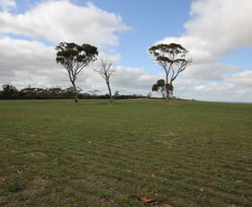 Rural / Farming commercial property for sale at Lot 25303 Dixon Road Narembeen WA 6369