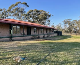 Rural / Farming commercial property sold at 449 Redmanvale Road Jerrys Plains NSW 2330