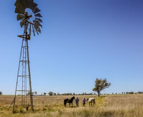 Rural / Farming commercial property sold at 'Farlands' 585 Heiligmans Lane Tamworth NSW 2340